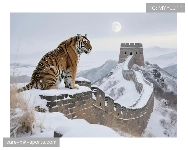 国安为何陷入“中庸困境”？战术体系失活，球队地位正悄然滑落？