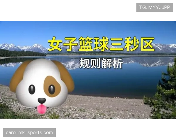 篮球三秒区规则中的进攻防守限制与判罚标准详细解析